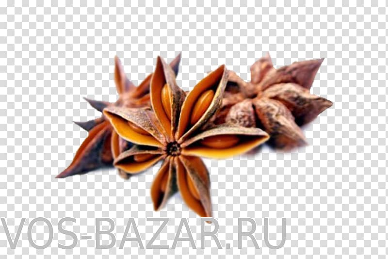 Organic food Indian cuisine Anise Spice, oil transparent background PNG clipart