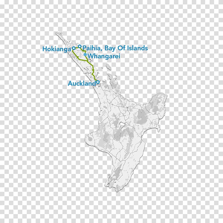 Organism Map Tuberculosis, island of adventure transparent background PNG clipart