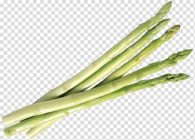 Asparagus Bamboo shoot Vegetable, Shoot vegetable transparent background PNG clipart