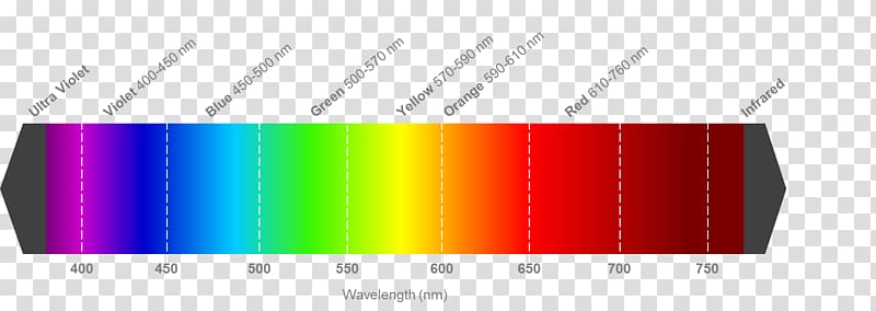 Light Visible spectrum Wavelength Color Electromagnetic spectrum, warm color transparent background PNG clipart