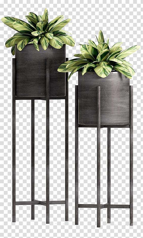 high plant pots potted transparent background PNG clipart