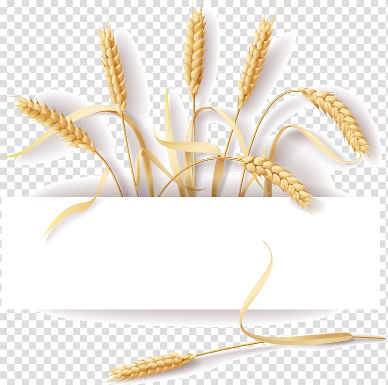 brown wheat , Common wheat Cereal Ear Rye, Creative Food notes transparent background PNG clipart