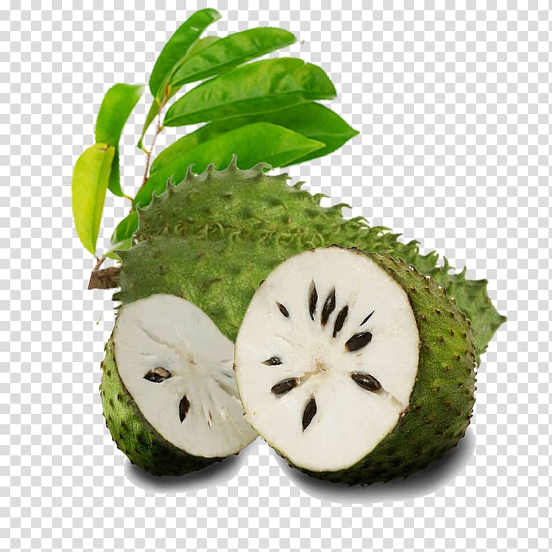 jack fruit illustration, Juice Organic food Soursop Tropical fruit, Durian transparent background PNG clipart
