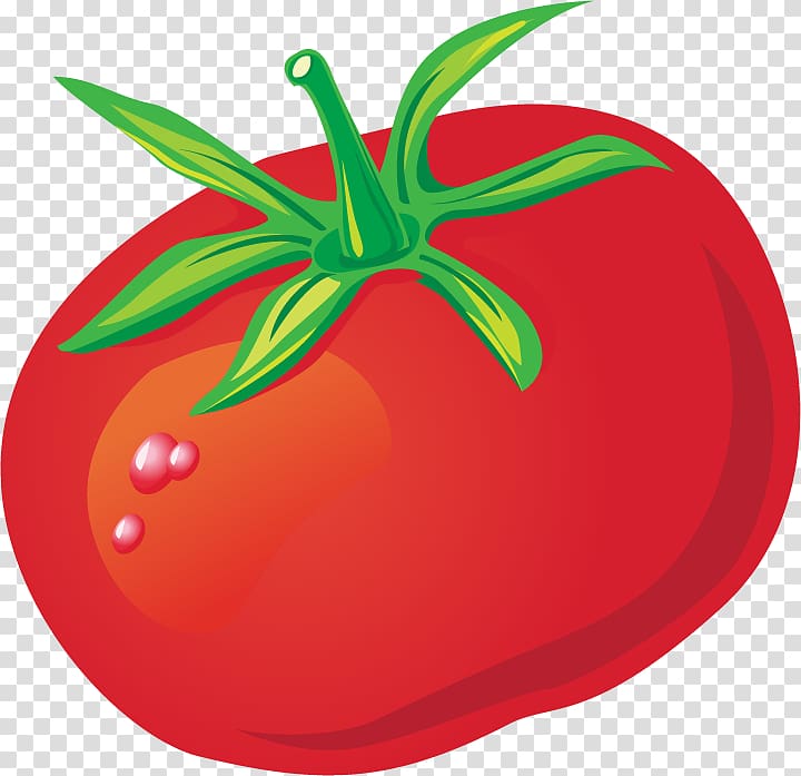 Tomato Euclidean , Tomato Tomatoes material transparent background PNG clipart