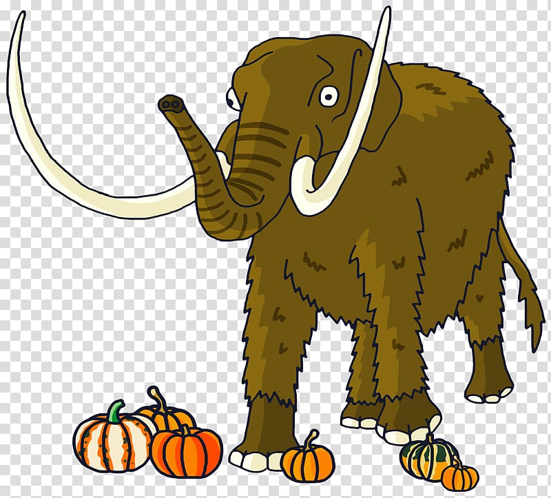 African elephant Indian elephant Mammoth , delicacy transparent background PNG clipart