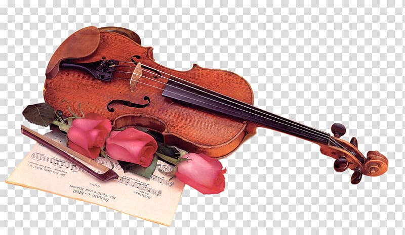 Violin Musical Instruments Composer, musical instruments transparent background PNG clipart
