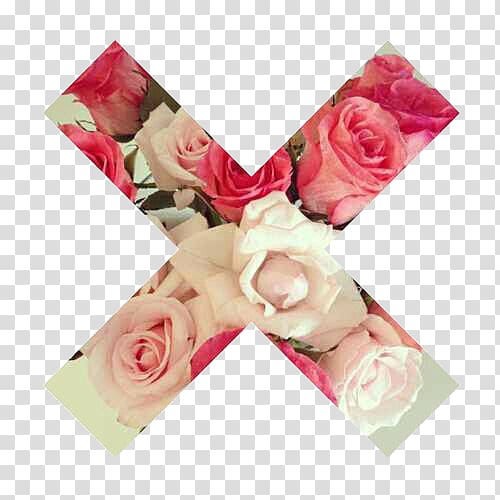Rose Desktop Flower, folwer love transparent background PNG clipart