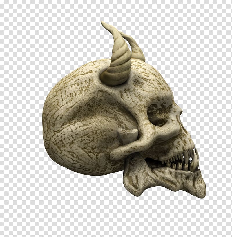 Skull Human skeleton Bone Face, skull transparent background PNG clipart