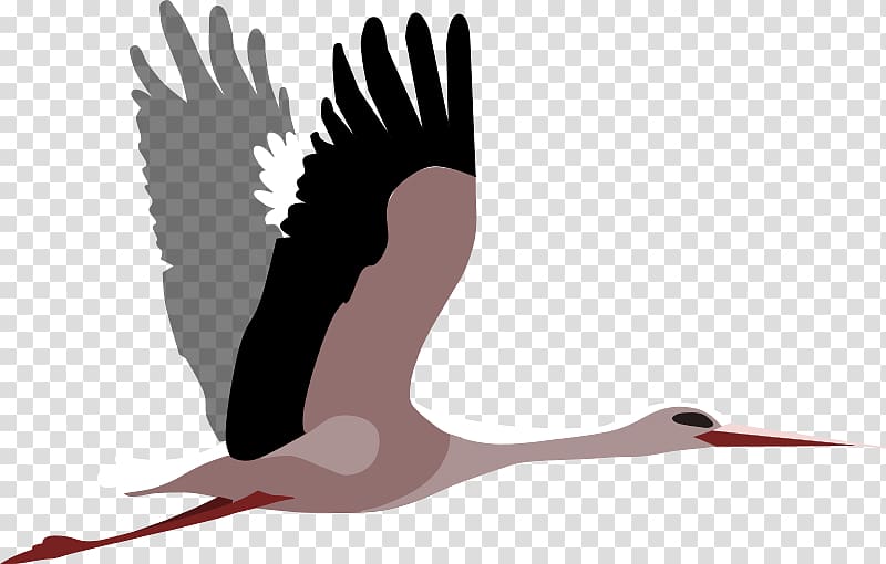 White stork Open graphics Windows Metafile, love transparent background PNG clipart