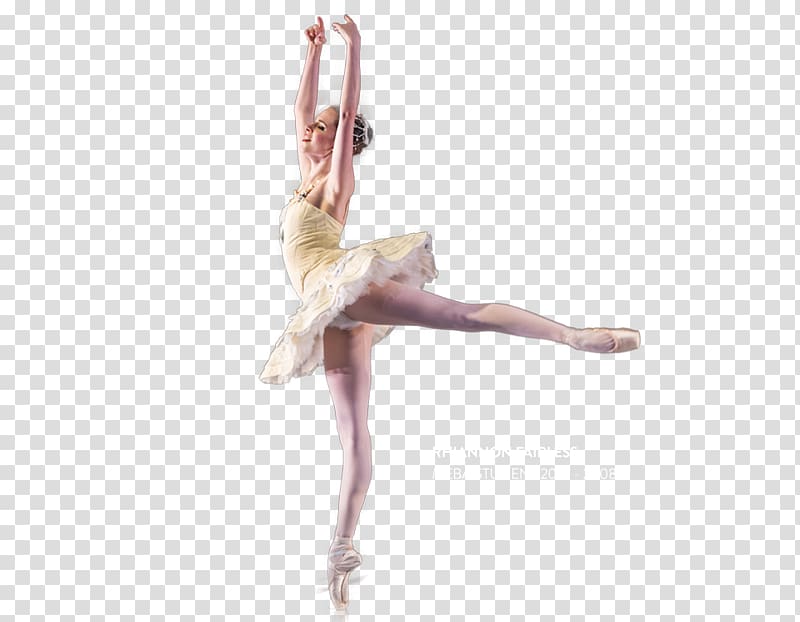 Paris Opera Ballet Choreographer Ballet Dancer, ballet transparent background PNG clipart