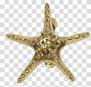 Door Knockers Metal Brass Door Bells & Chimes, Starfish HD transparent background PNG clipart thumbnail