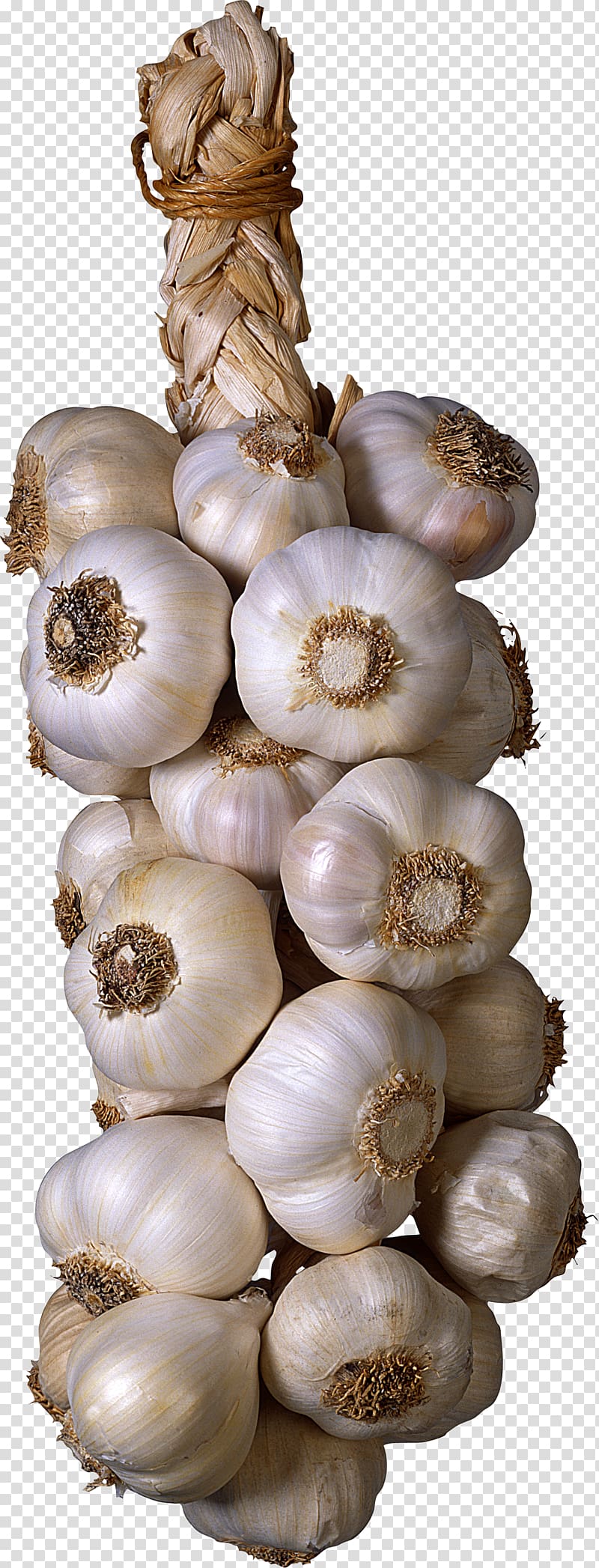 Garlic Vegetable Seasoning , garlic transparent background PNG clipart