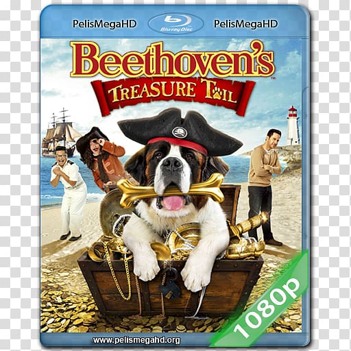 Blu-ray disc Beethoven Digital copy DVD 1080p, dvd transparent background PNG clipart