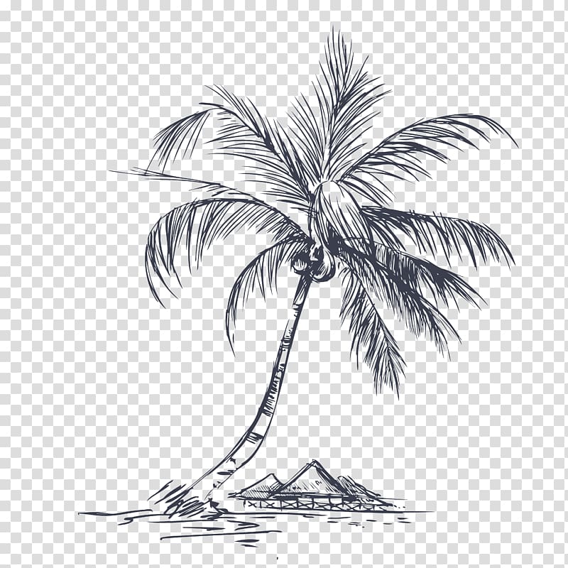 Coconut Tree, Hand-painted island tour transparent background PNG clipart