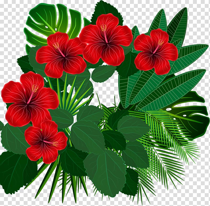 Floral design Tropics, aloha transparent background PNG clipart