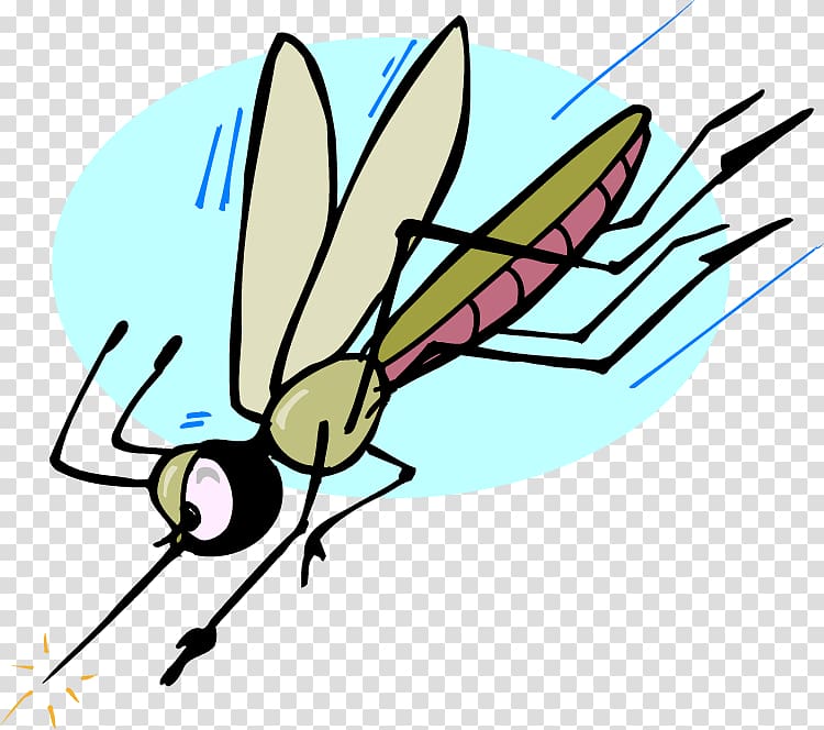 The Mosquito Insect repellent , Mosquito attack transparent background PNG clipart