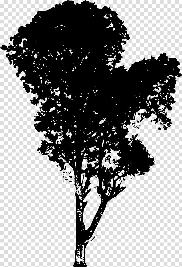 Tree Silhouette Branch Desktop , tree transparent background PNG clipart