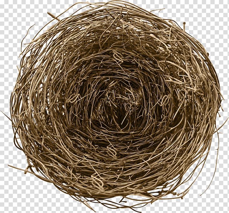 Birds, Nests, & Eggs Birds, Nests and Eggs Bird nest, nest transparent background PNG clipart