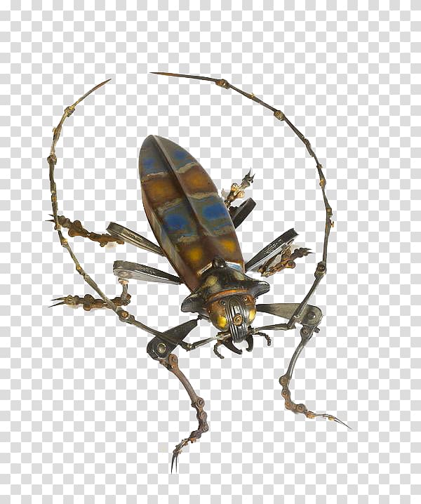 Beetle Steampunk Sculpture Artist, Yellow 3d simple insects transparent background PNG clipart