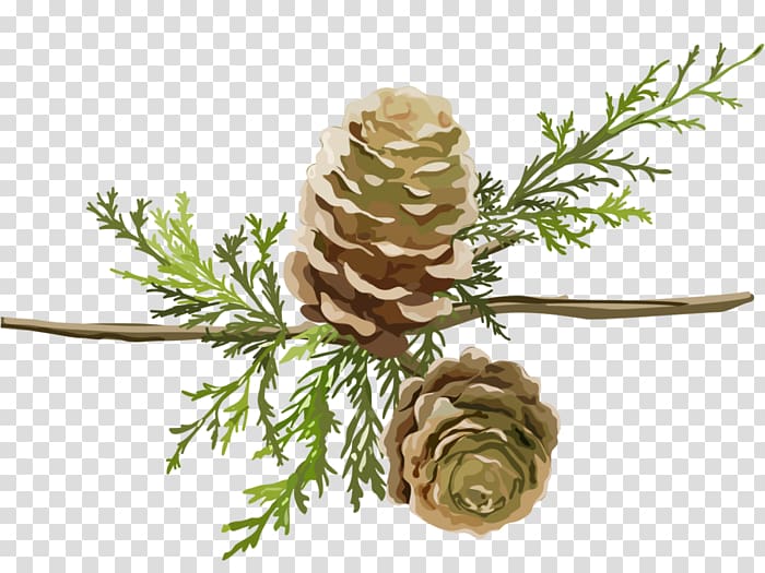 Larch Google Cartoon, others transparent background PNG clipart