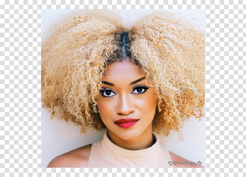 How to Get Blonde Hair on Afro Textured Hair - wide 11