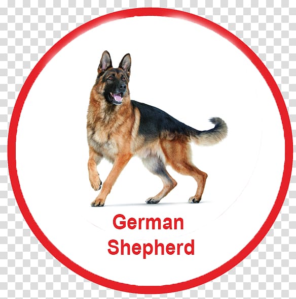 German Shepherd Dachshund Dog Toys Ball Fetch, german shepherd silhouette transparent background PNG clipart