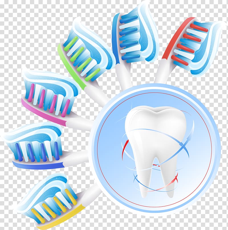 Human tooth Oral hygiene Teeth cleaning, Dental transparent background PNG clipart