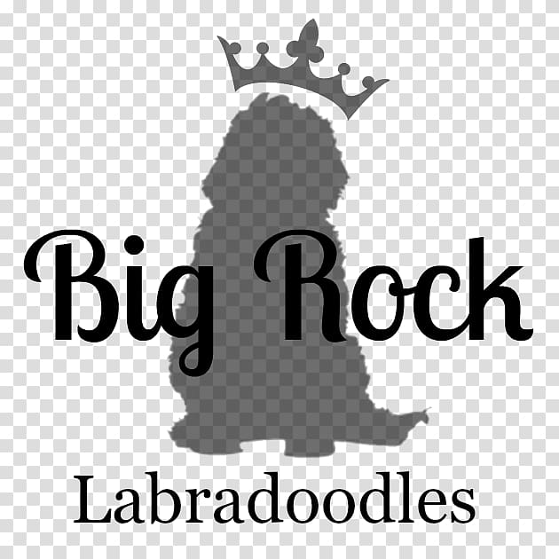 Big Rock Labradoodles Mister O Cretina Irresistível Mais que amigos, book transparent background PNG clipart