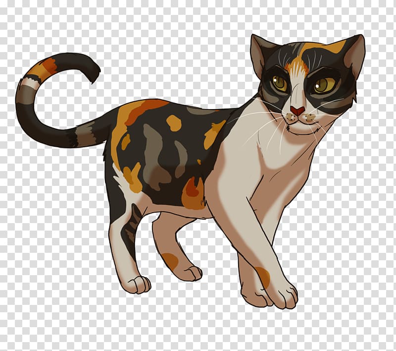 Why Do Cats Meow? Warriors Spottedleaf Robinwing, Cat transparent background PNG clipart