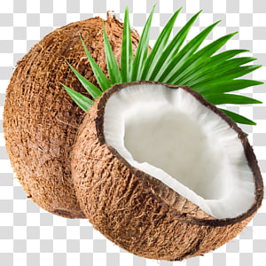 Coconut transparent background PNG cliparts free download | HiClipart