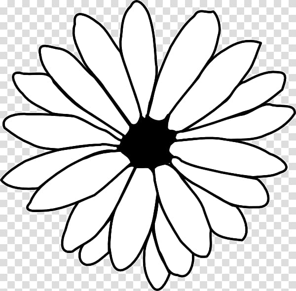 Flower Line art Free content , Drawn Hawaiian Flowers transparent background PNG clipart