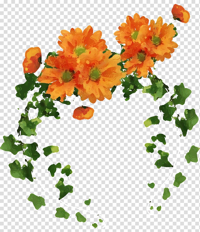 Floral design Orange Cut flowers Boston ivy, orange transparent background PNG clipart