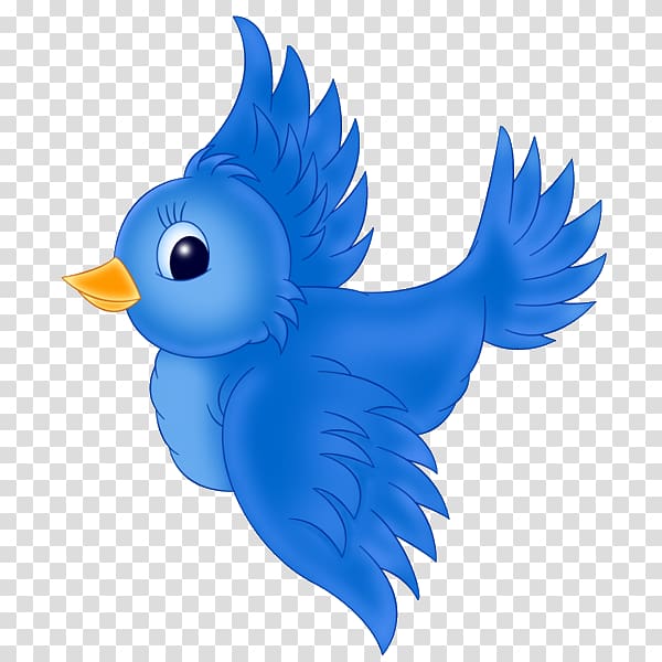 Western bluebird Eastern bluebird , blue bird transparent background PNG clipart