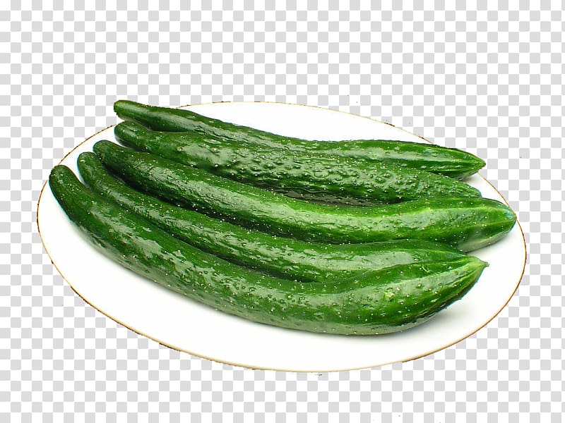 Slicing cucumber Food Vegetable Melon Napa cabbage, cucumber transparent background PNG clipart