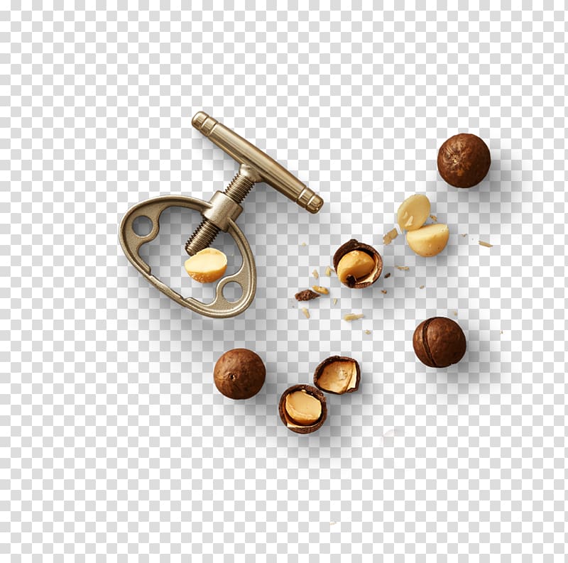 Food Macadamia Nut Capelli, macadamia nuts transparent background PNG clipart