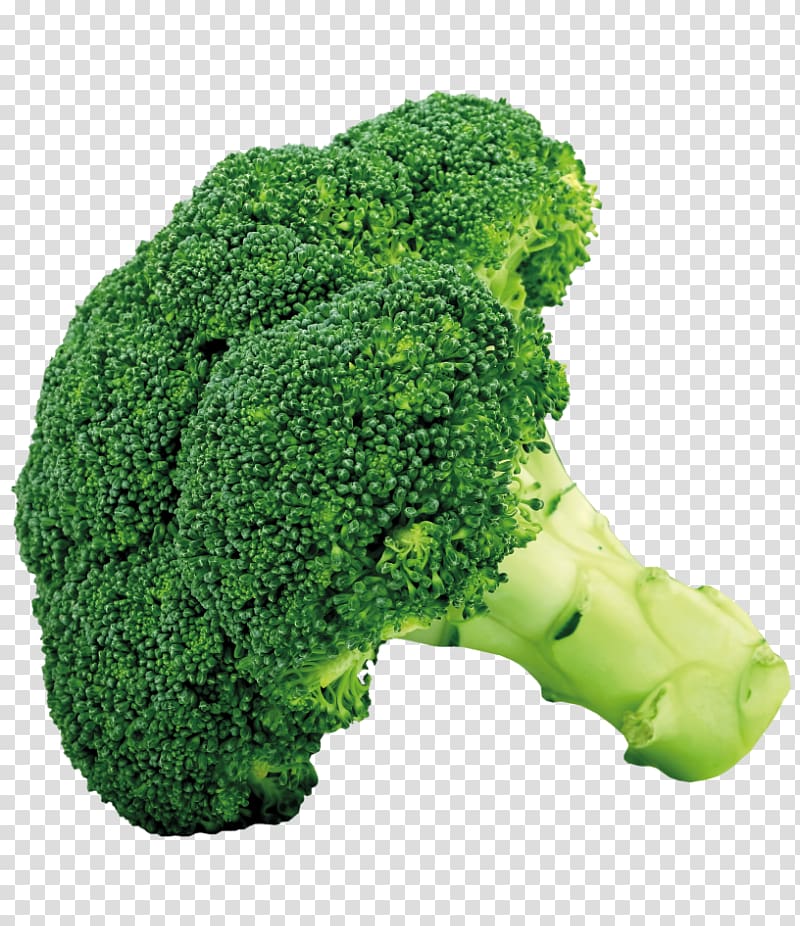 Broccoli slaw Vegetable , broccoli transparent background PNG clipart