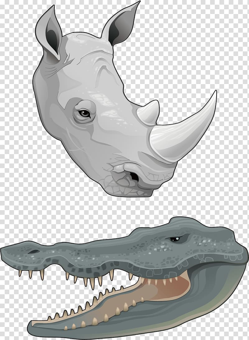 Rhinoceros Horn Euclidean Animal, Two kinds of amphibians transparent background PNG clipart