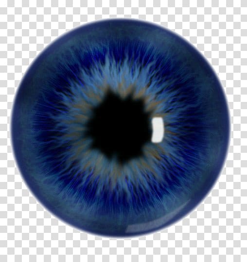 Iris Pupil Human eye Blue, Eye transparent background PNG clipart