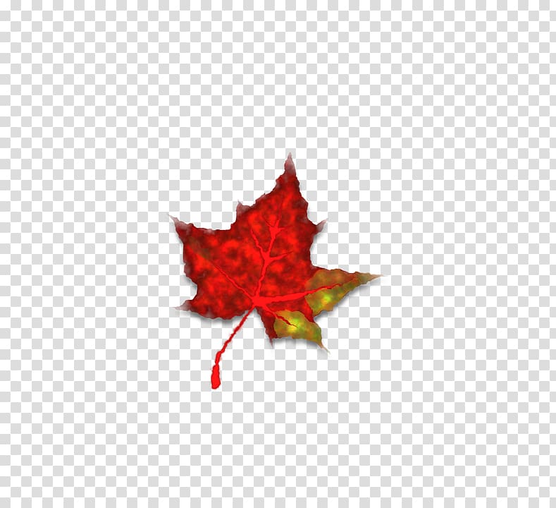 Autumn Red Icon, Autumn leaves season wind transparent background PNG clipart
