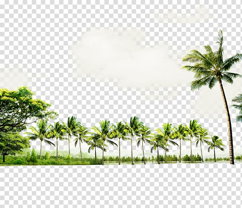 Ocean Beach Seaside resort, forest transparent background PNG clipart