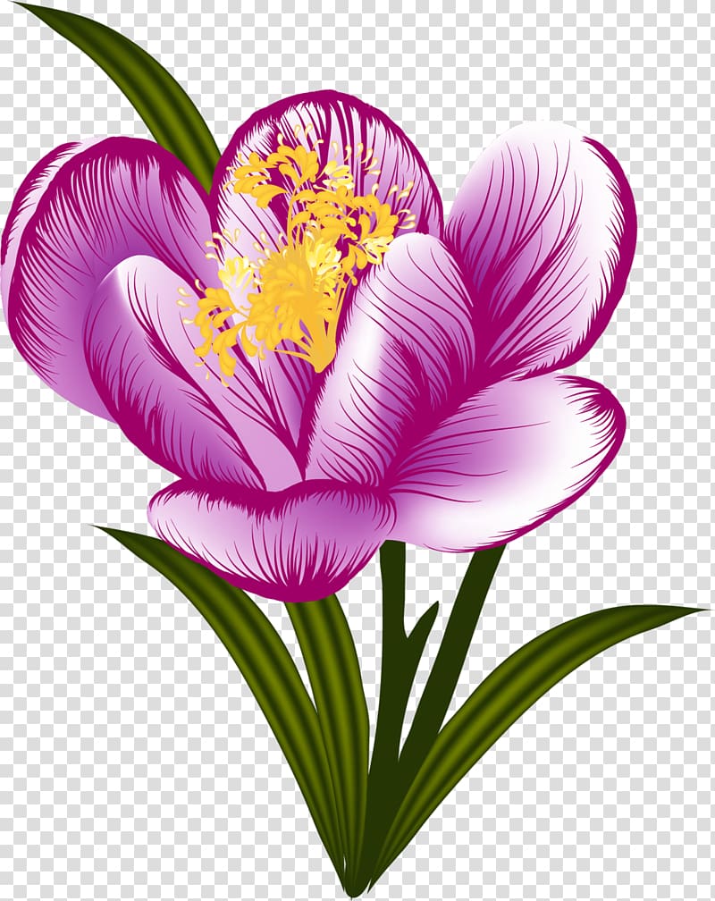 Flower Floral design Petal, crocus transparent background PNG clipart