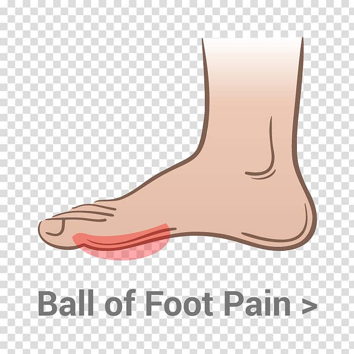 Thumb Ball Toe Foot Human leg, sore foot transparent background PNG clipart