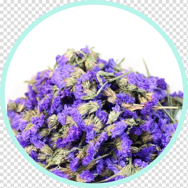 English lavender Flowering tea Chamomile Calendula officinalis, chamomile transparent background PNG clipart