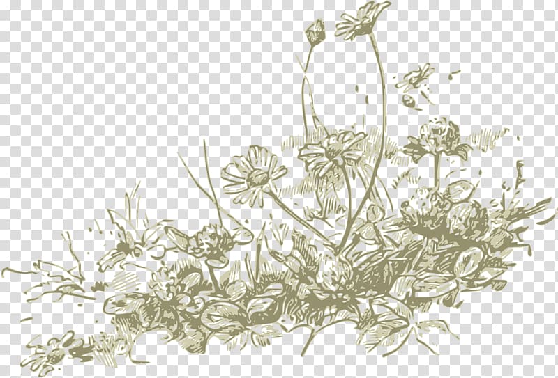 Wildflower , Watercolor plants transparent background PNG clipart