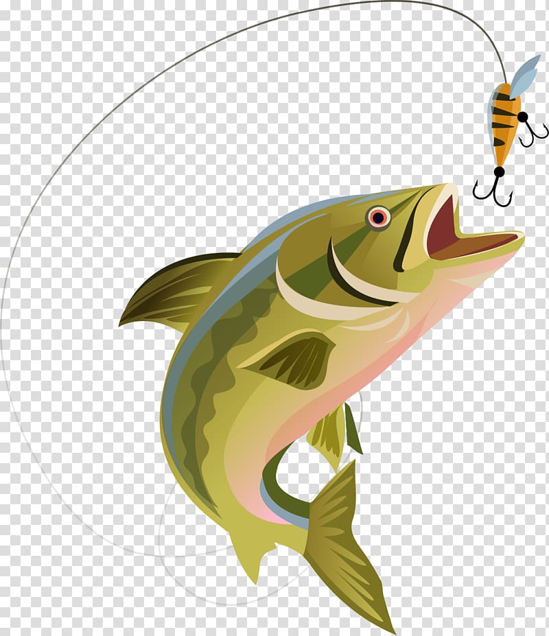 https://p7.hiclipart.com/preview/14/244/1022/recreational-fishing-association-agreee-de-peche-et-de-protection-des-milieux-aquatiques-fly-fishing-northern-pike-fishing.jpg