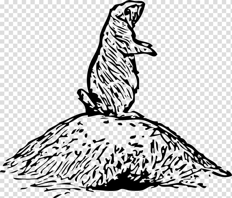 Black-tailed prairie dog Squirrel , Dog transparent background PNG clipart