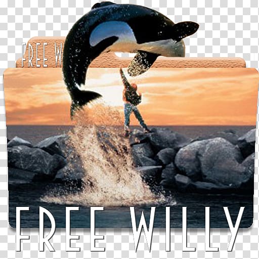 Oregon Film Museum Free Willy Killer whale DVD, willy transparent background PNG clipart