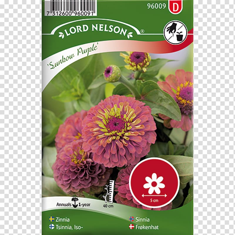 Seed Annual plant Flower Common zinnia Red, Zinnia Elegans transparent background PNG clipart