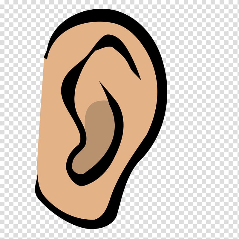 Hearing , ear transparent background PNG clipart