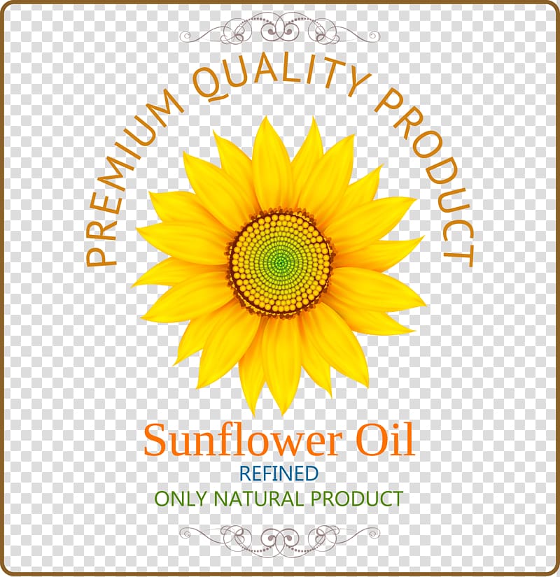 Common sunflower Sunflower oil, Sunflower cover pattern transparent background PNG clipart